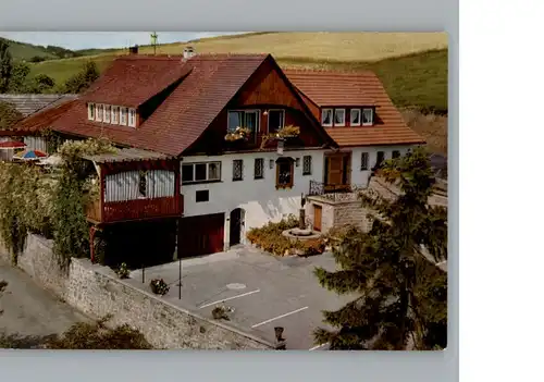 Erdhausen Kuenstlerhaus Lenz  / Gladenbach /Marburg-Biedenkopf LKR