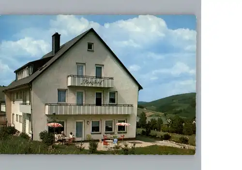 Usseln Hotel - Pension Berghof / Willingen (Upland) /Waldeck-Frankenberg LKR