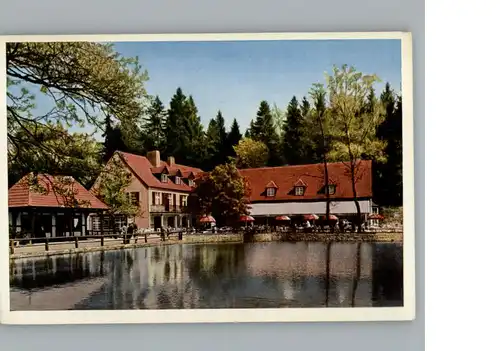 Leopoldstal Lippe Waldhotel Silbermuehle / Horn-Bad Meinberg /Lippe LKR