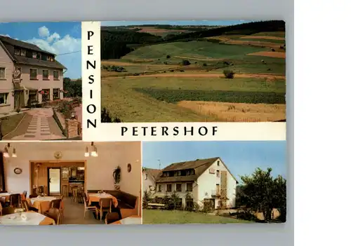 Buerdenbach Pension Petershof  / Buerdenbach /Altenkirchen Westerwald LKR
