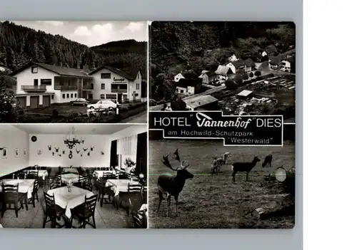 Dies Hotel Tannenhof / Gackenbach /Westerwaldkreis LKR