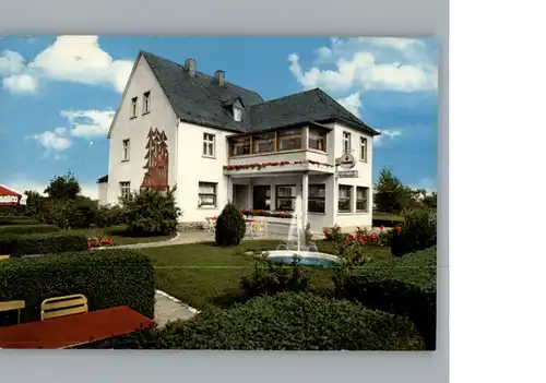 Gammelshausen Hunsrueck Restaurant, Pension Waldesruh / Hollnich /Rhein-Hunsrueck-Kreis LKR