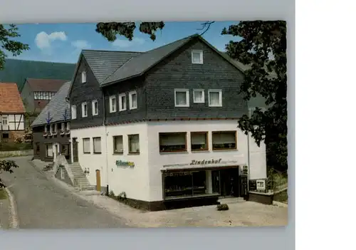 Wingeshausen Hotel Lindenhof / Bad Berleburg /Siegen-Wittgenstein LKR