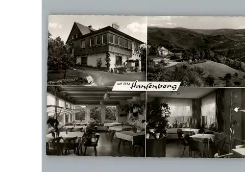 Espenschied Pension, Cafe Hansenberg / Lorch /Rheingau-Taunus-Kreis LKR