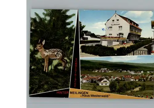 Hintermeilingen Haus Westerwald / Waldbrunn (Westerwald) /Limburg-Weilburg LKR