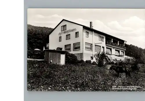 Ober-Schoenmattenwag Cafe - Pension Waldfrieden / Wald-Michelbach /Bergstrasse LKR