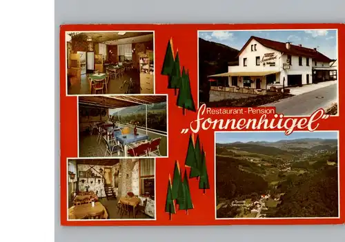 Ober-Schoenmattenwag Restaurant - Pension Sonnenhuegel / Wald-Michelbach /Bergstrasse LKR