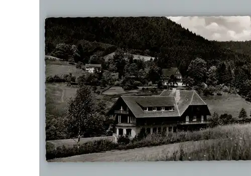 Ehlenbogen Gasthof, Pension Adler / Alpirsbach /Freudenstadt LKR