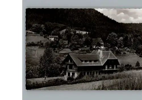 Ehlenbogen Gasthof, Pension Adler / Alpirsbach /Freudenstadt LKR