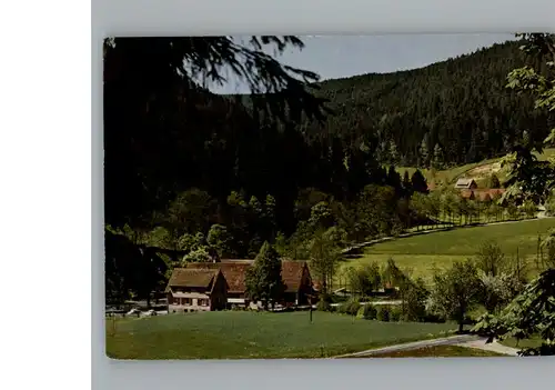 Ehlenbogen Gasthof, Pension Mittlere Muehle / Alpirsbach /Freudenstadt LKR