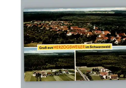 Herzogsweiler  / Pfalzgrafenweiler /Freudenstadt LKR