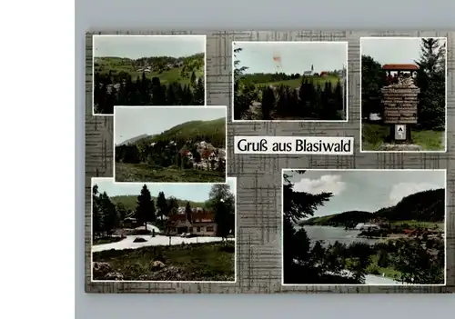 Blasiwald  / Schluchsee /Breisgau-Hochschwarzwald LKR