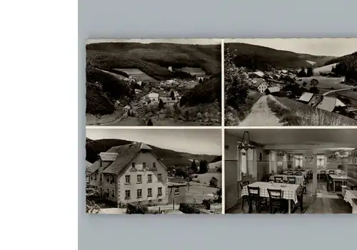 Hammereisenbach-Bregenbach Gasthaus, Pension Waldblick / Voehrenbach /Schwarzwald-Baar-Kreis LKR