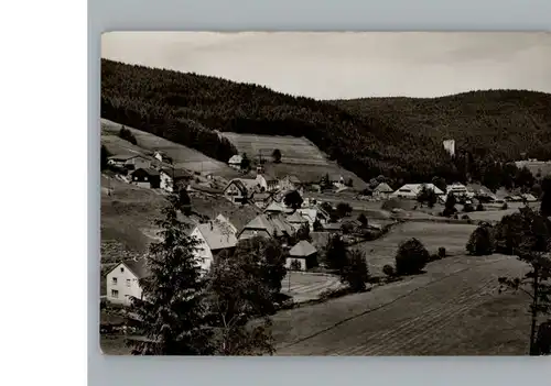 Hammereisenbach-Bregenbach  / Voehrenbach /Schwarzwald-Baar-Kreis LKR