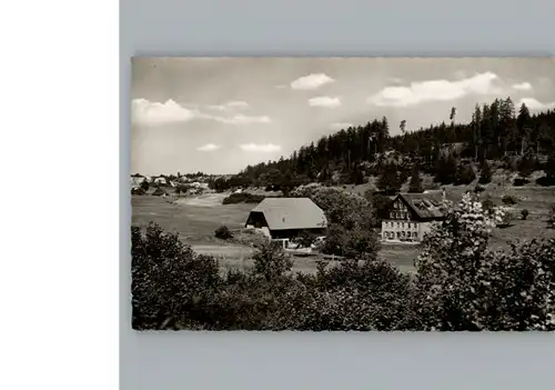 Seppenhofen Gasthaus, Pension zur Linsimuehle / Loeffingen /Breisgau-Hochschwarzwald LKR