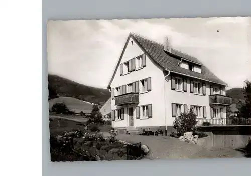 Oberglottertal Pension Haus Reichenbach / Glottertal /Breisgau-Hochschwarzwald LKR