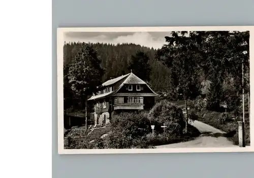 Blasiwald Pension Haus Schwoerer / Schluchsee /Breisgau-Hochschwarzwald LKR