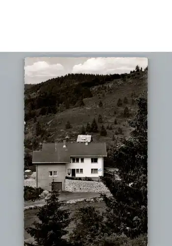 Wittenschwand Pension Haus Ehrlich / Dachsberg /Waldshut LKR
