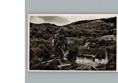 Sehringen Gasthaus zum gruenen Baum / Badenweiler /Breisgau-Hochschwarzwald LKR