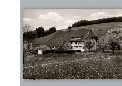 Herrischried Gasthaus, Pension Hotzenhof / Herrischried /Waldshut LKR