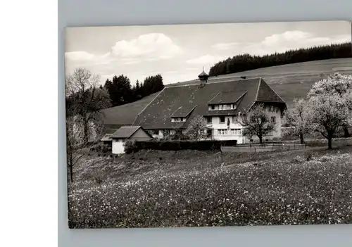 Herrischried Gasthaus, Pension Hotzenhof / Herrischried /Waldshut LKR