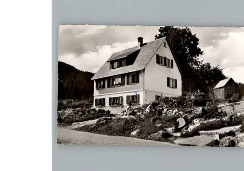 Blasiwald Haus Buechle / Schluchsee /Breisgau-Hochschwarzwald LKR