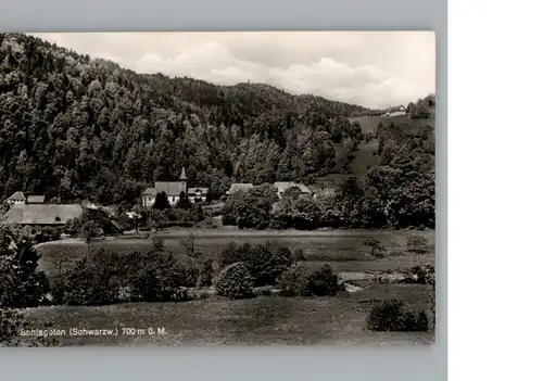 Schlageten  / St. Blasien /Waldshut LKR