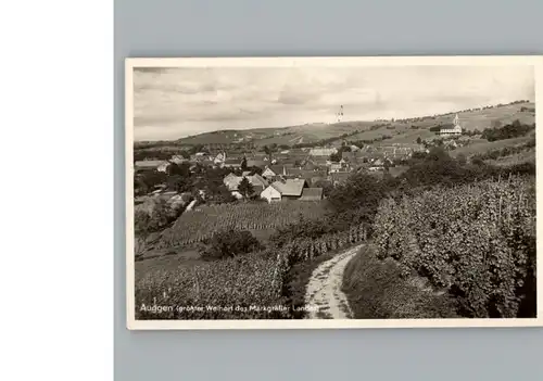 Auggen Gasthaus zum Rebstock / Auggen /Breisgau-Hochschwarzwald LKR