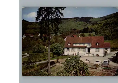 Sehringen Gasthaus zum gruenen Baum / Badenweiler /Breisgau-Hochschwarzwald LKR