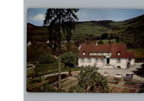 Sehringen Gasthaus zum gruenen Baum / Badenweiler /Breisgau-Hochschwarzwald LKR