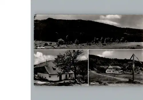 Arberhuette  / Bayerisch Eisenstein /Regen LKR