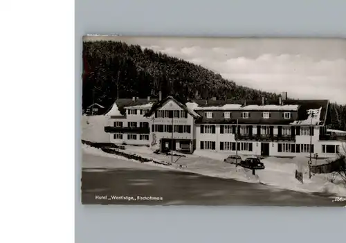 Bischofsmais Hotel Wastsaege / Bischofsmais /Regen LKR