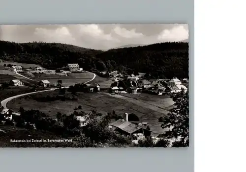 Rabenstein Zwiesel Fliegeraufnahme / Zwiesel /Regen LKR