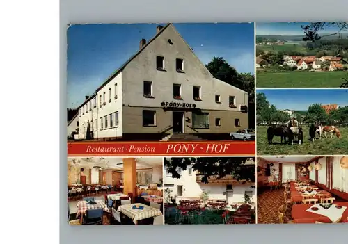 Pressath Pension Pony Hof / Pressath /Neustadt Waldnaab LKR