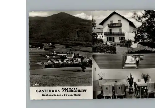 Grafenwiesen Gaestehaus Muehlbauer / Grafenwiesen /Cham LKR
