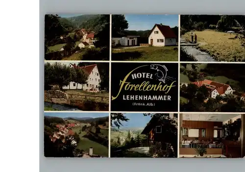 Lehenhammer Hotel Forellenhof  / Etzelwang /Amberg-Sulzbach LKR