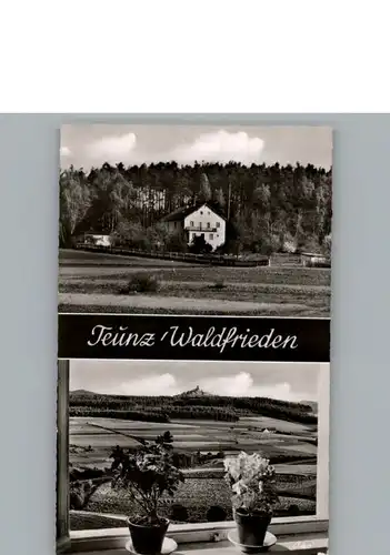 Teunz Pension Waldfrieden  / Teunz /Schwandorf LKR