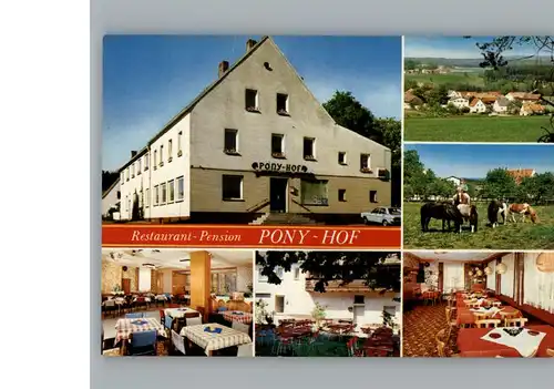 Pressath Hotel Pension Pony Hof  / Pressath /Neustadt Waldnaab LKR