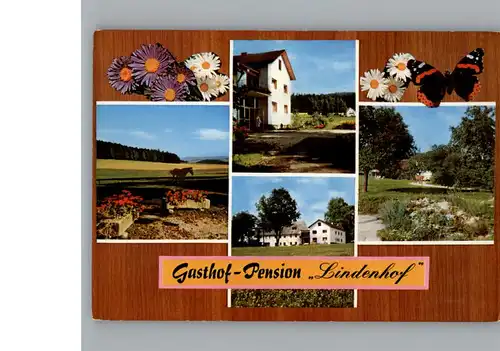 Braunetsrieth Gasthof Pension Lindenhof  / Vohenstrauss /Neustadt Waldnaab LKR