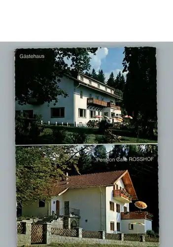 Geigant Hotel Pension und Cafe Rosshof  / Waldmuenchen /Cham LKR