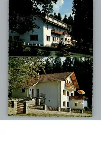 Geigant Bergpension Rosshof  / Waldmuenchen /Cham LKR