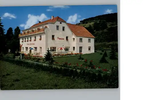 Wallenfels Oberfranken Pension Haus Christina / Wallenfels /Kronach LKR