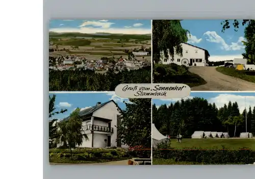 Stammbach Pension Sonnenhof / Stammbach /Hof LKR