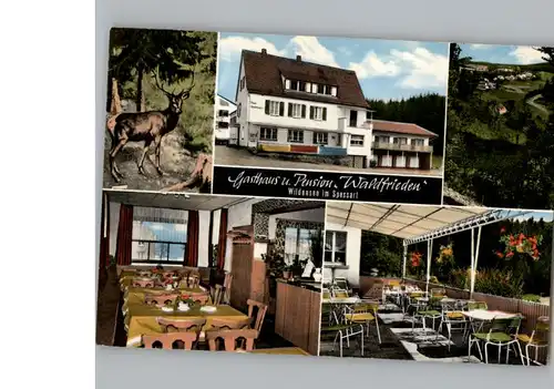 Wildensee Unterfranken Werbe-Karte Gasthaus Waldfrieden / Eschau /Miltenberg LKR