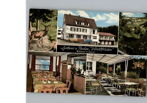 Wildensee Unterfranken Werbe-Karte Gasthaus Waldfrieden / Eschau /Miltenberg LKR