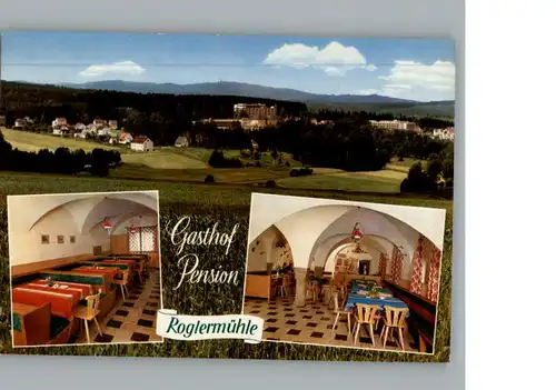 Bad Alexandersbad Gasthof Pension Roglermuehle / Bad Alexandersbad /Wunsiedel LKR