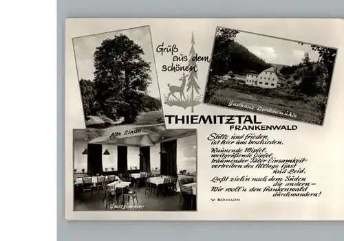 Bernstein Wald Gasthaus Lorchenmuehle / Schwarzenbach a.Wald /Hof LKR