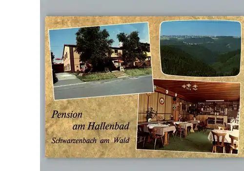 Schwarzenbach Wald Pension am Hallenbad / Schwarzenbach a.Wald /Hof LKR