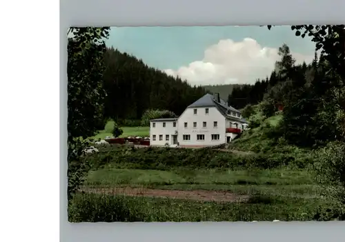 Bernstein Wald Gasthaus Pension Lorchenmuehle / Schwarzenbach a.Wald /Hof LKR