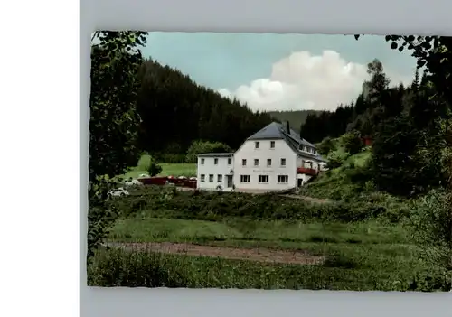 Bernstein Wald Gasthaus Pension Lorchenmuehle / Schwarzenbach a.Wald /Hof LKR